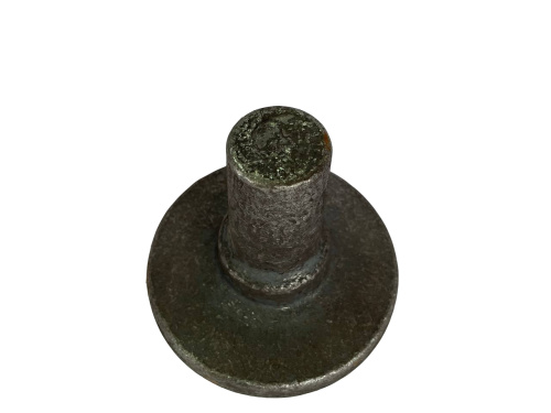 Поковка Ось диска БДП 4200.04.00.002